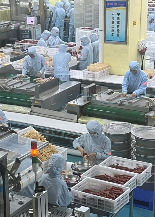 食品行业输送流水线生产车间