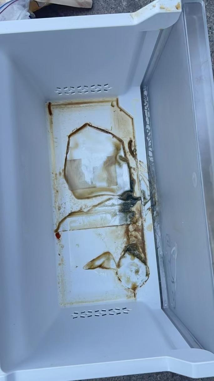 家用冰箱储存宠物鲜食变质发霉实拍