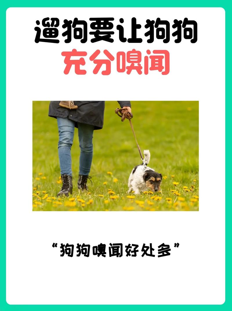放心让狗闻，做好这几件事就行