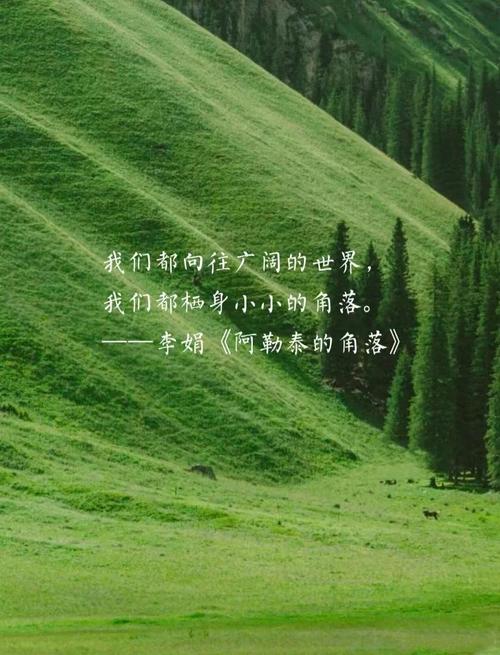 原来好的角落，从来不是给别人看的