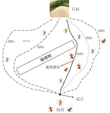 蚁群涌现行为路径示意图