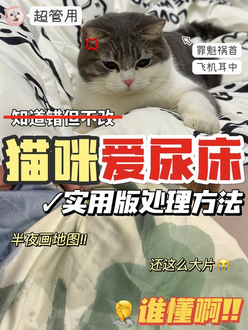 有些乱拉，真的是它“太怕了”