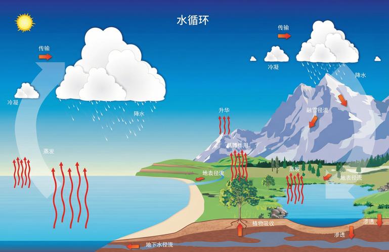 常见误区:谁跟你说水循环就是“淡水自动更新”的?