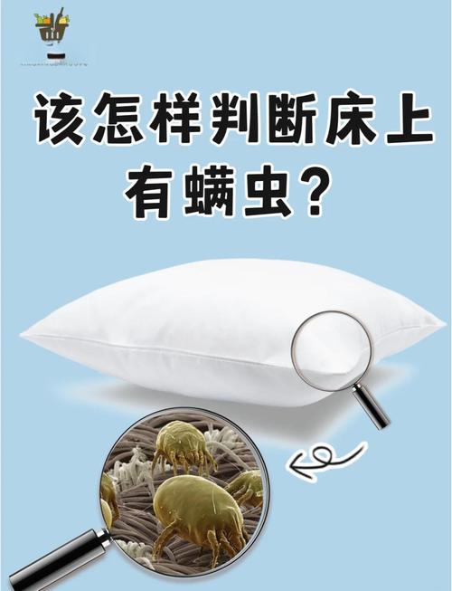 卧室枕头尘螨显微镜放大实拍图