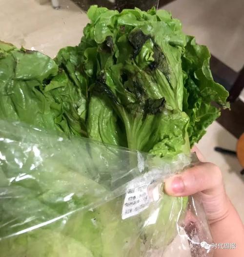 生鲜市场挑选:藏在菜摊肉摊里的实用健康技巧-仁者医