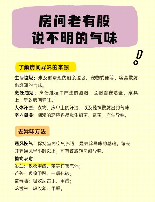 家庭空间异味的天然处理方法