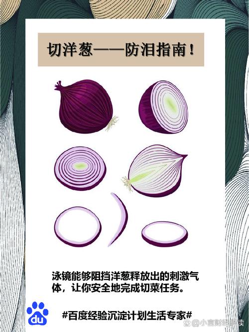葱:凭什么让人类又爱又恨了上千年?-因为所以