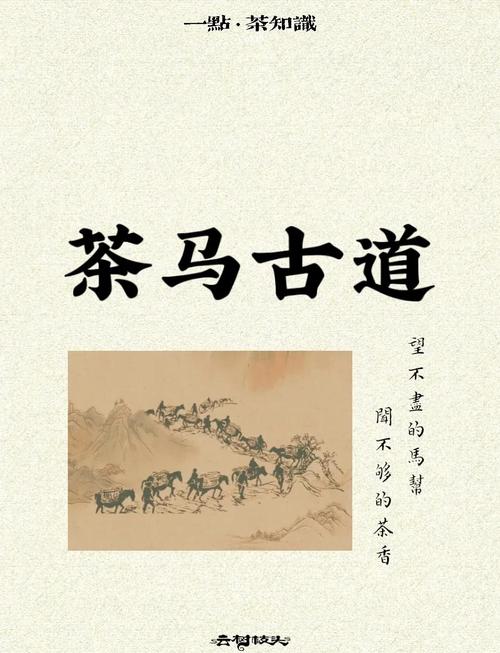 一、古道迷雾：当茶马古道的马蹄声化作现代的讨价还价