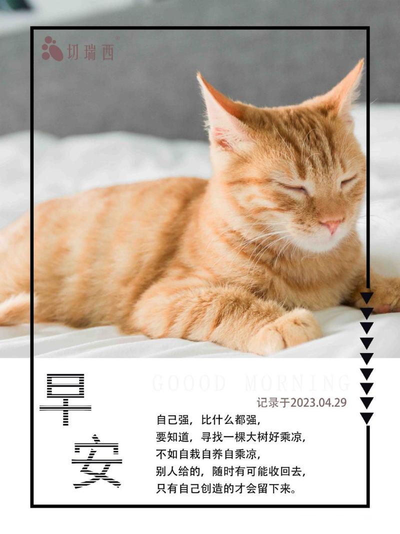 通勤前后花两分钟，顺顺劲儿比啥都强