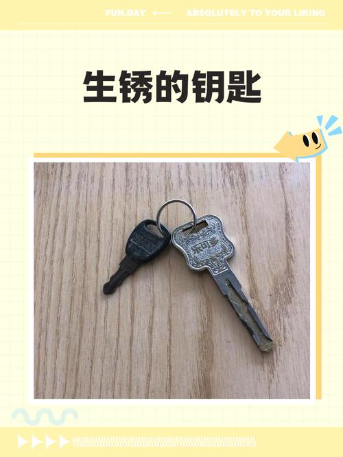 冷冻层里被遗忘的车钥匙特写