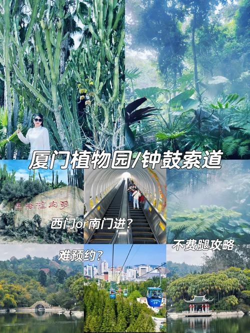 四、游玩实操建议:怎么走不废腿还能吃