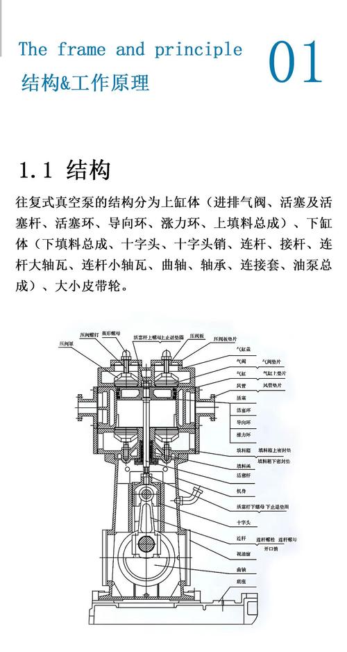 往复泵余隙容积结构剖面示意图