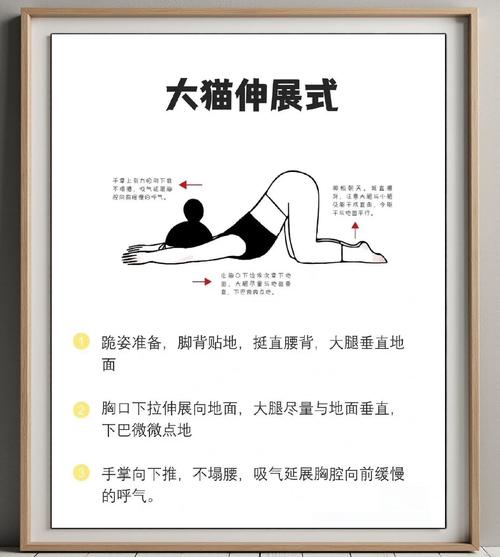 晨间床上猫式伸展动作示范