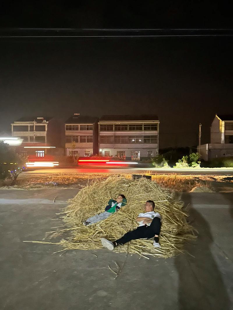 现在的孩子，最缺一块长杂草的空间
