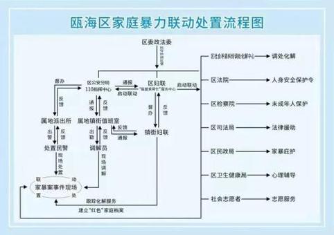 反家暴诉讼举证闭环逻辑图