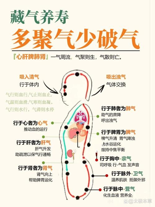 气撑保养,很多人从来不在意