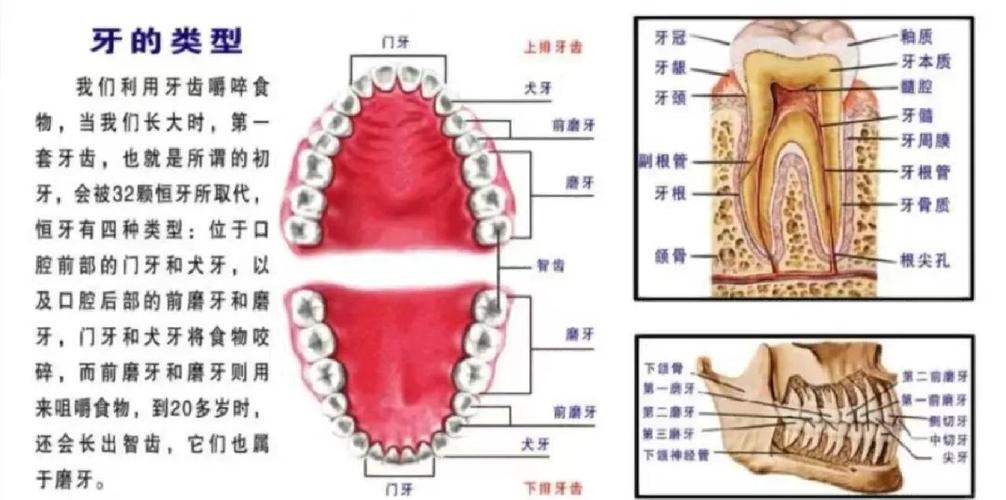 现在就给你的架构装上牙齿