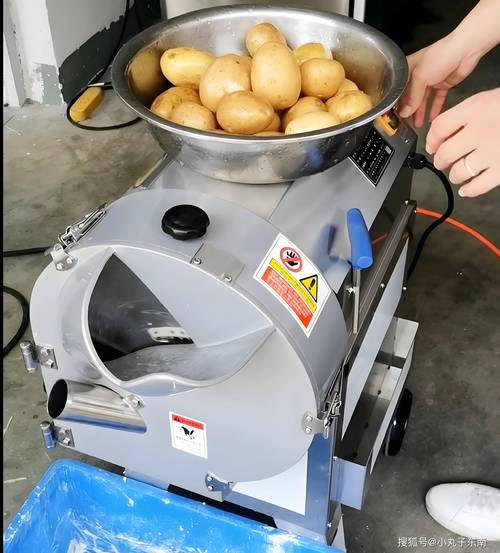 食品加工厂商用土豆脱皮机工作现场