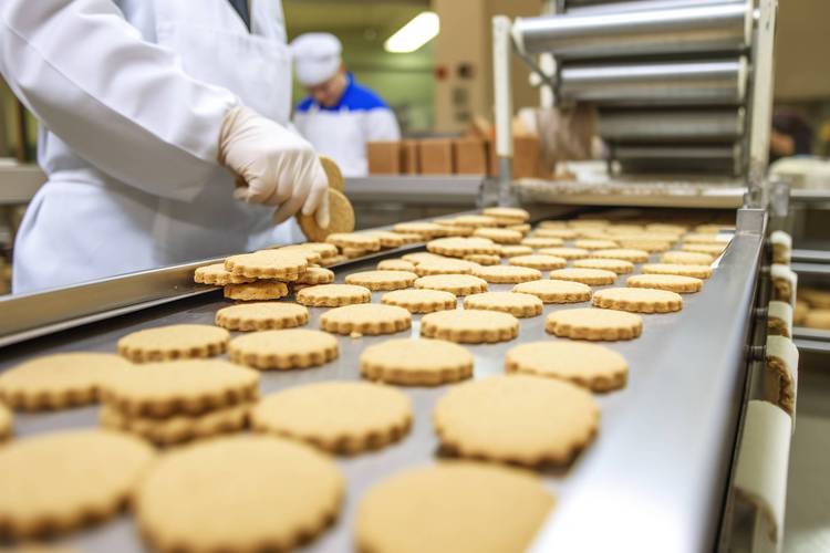 食品加工厂过度消毒腐蚀的传送带实拍