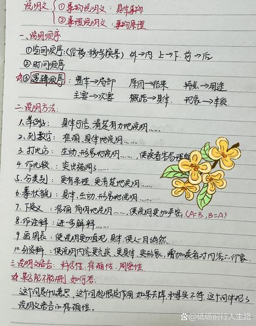 学好说明文作比较：原来提分这么简单-如东教育网