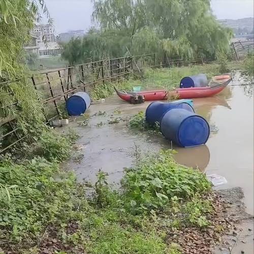 鱼塘污染受损定损现场照片