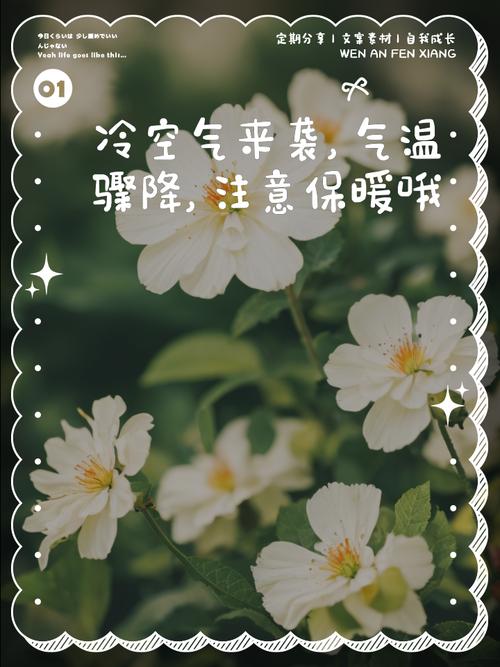 原来最提气的不是大件，是那点带温度的小细节