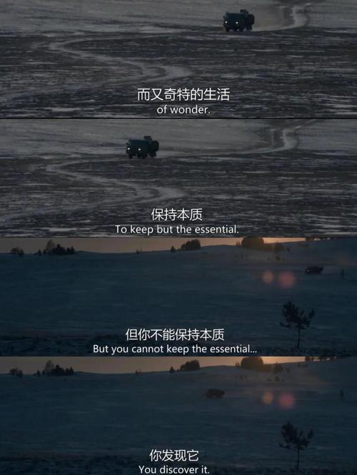 自由与孤独：高海拔流动生活的两面