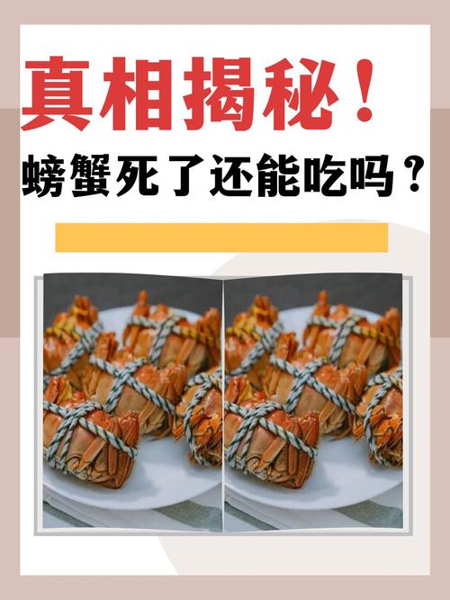 那些被我们框死的鲜活