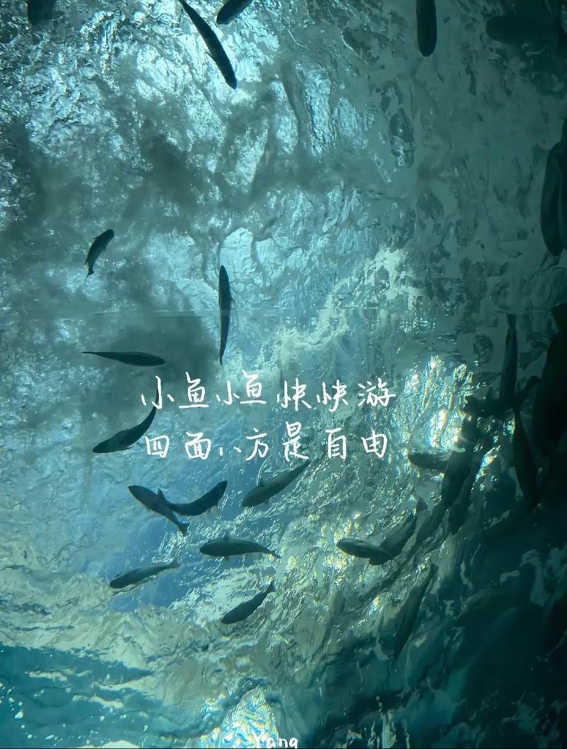 别迷信大神，你的小池塘也能起浪