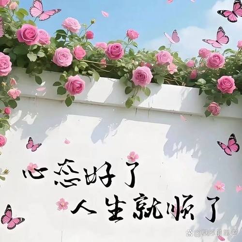 顺了眼，才能顺了身