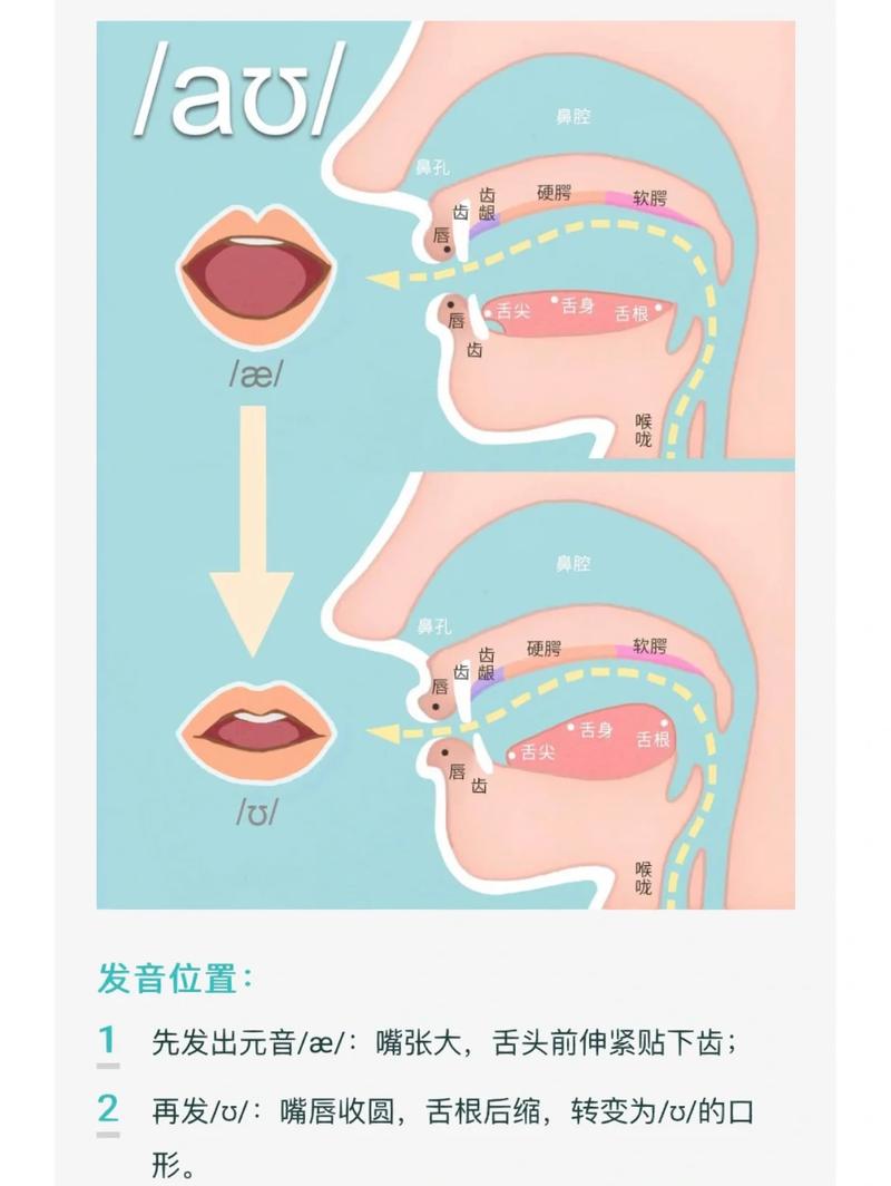 英语口语发音口型练习示意图