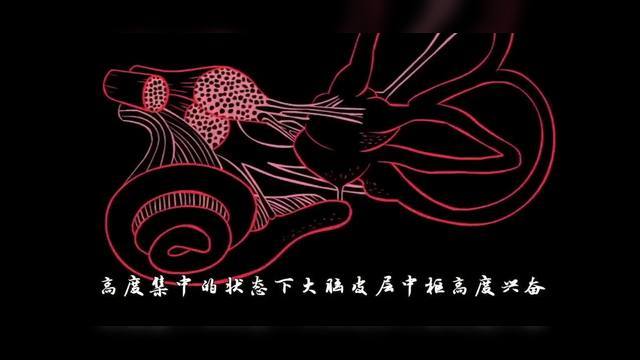 藏在参数里的猫腻，不是内行根本看不出来
