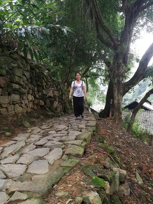 湖北南漳三里岗村古香樟石板路春景