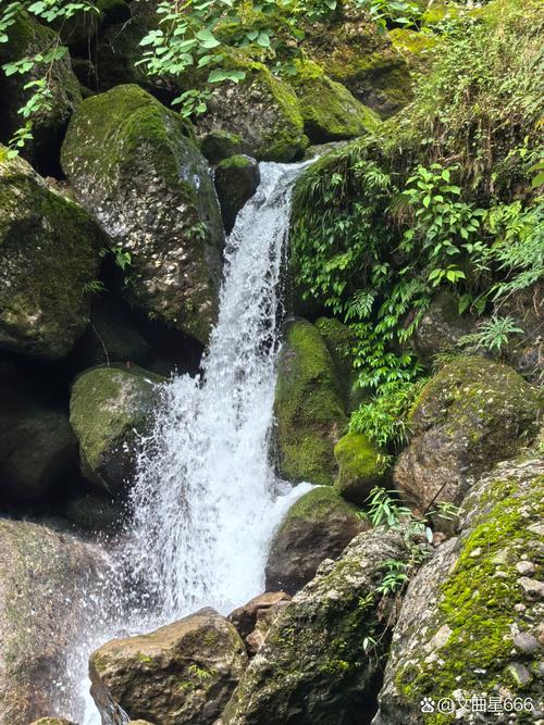 三、青城后山飞泉沟：负氧离子暴击与小众溯溪秘境