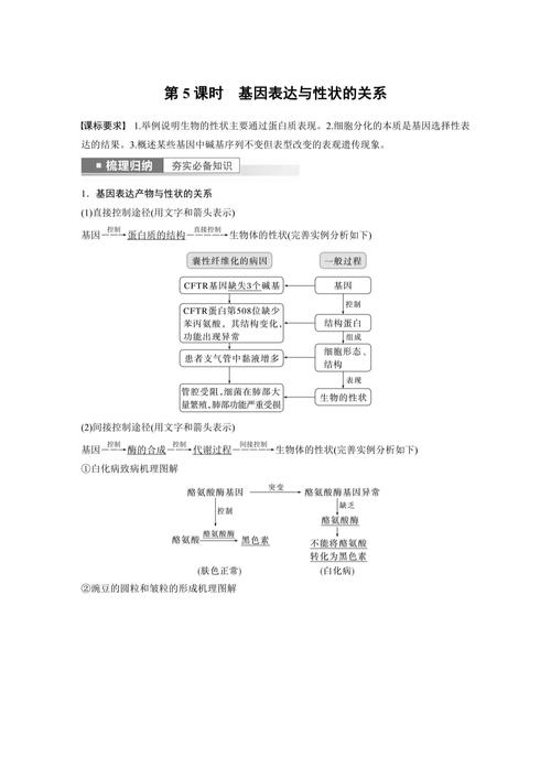 高中生物基因表达影响因素示意图