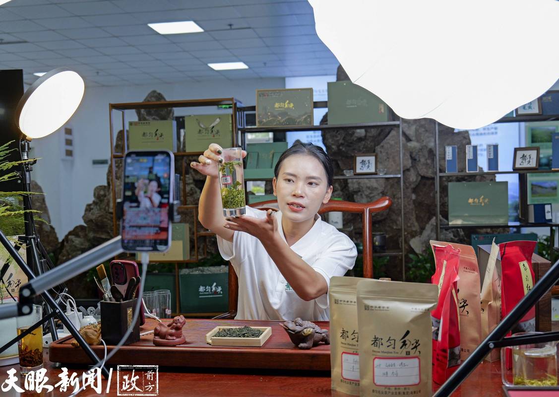 茶叶,是最大的智商税?一个老茶客的忏悔录-因为所以