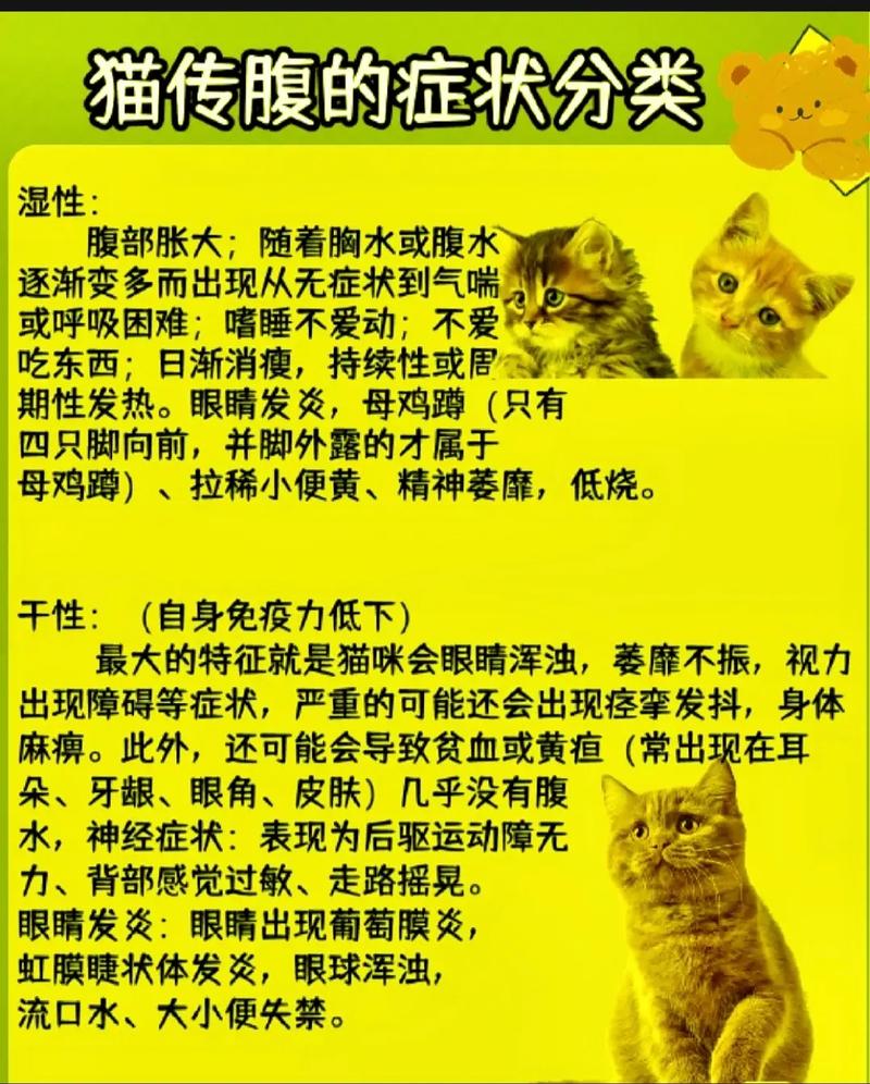 猫传腹干性湿性病症对比示意图