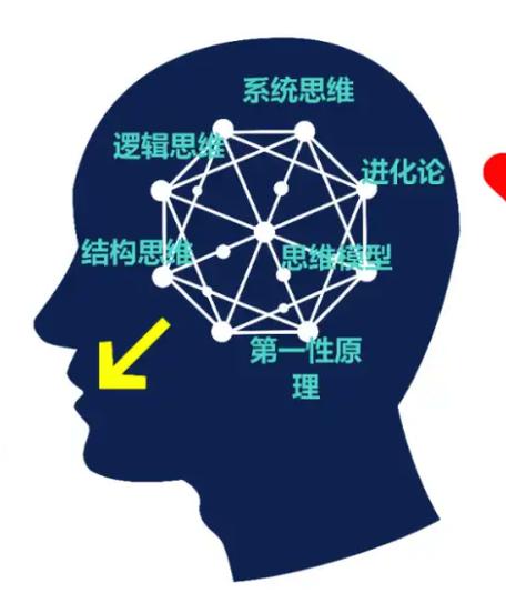 大脑在信息迷雾中做决策的示意图