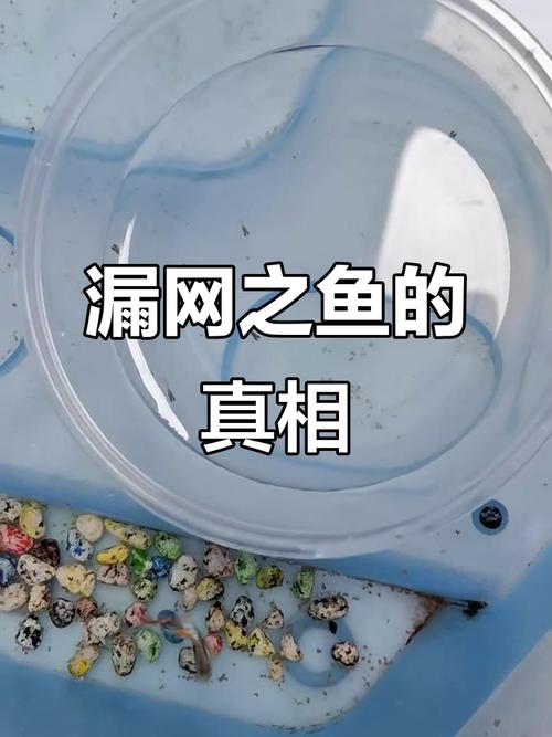定期检查，别让“漏网之鱼”毁掉整柜