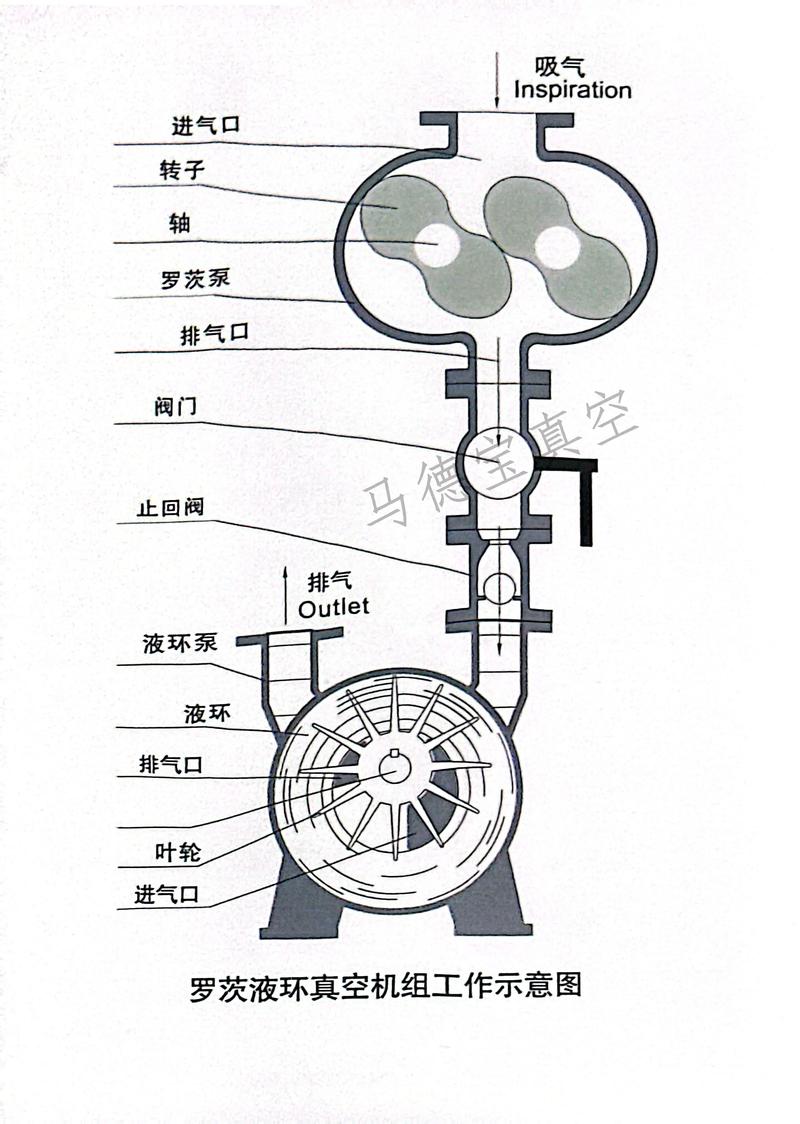 罗茨真空泵转子间隙示意图 显示微小间隙的热膨胀风险