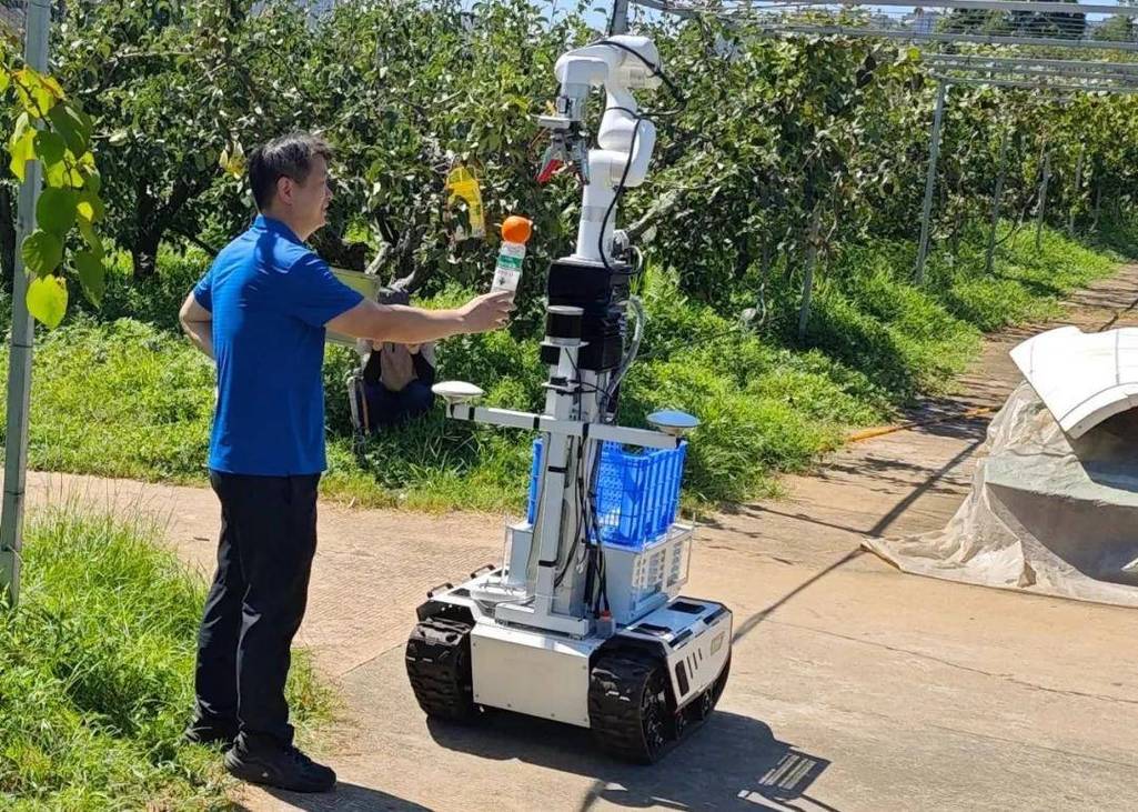 街边社区水果店半智能切果机器人作业