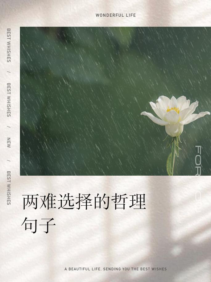 二、最折磨人的,是选择