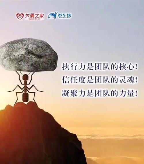 团队协作的核心,从来不是“合群”,是“省心”
