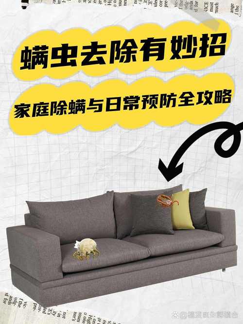 霉菌与螨虫:皮沙发不是黄金圣衣