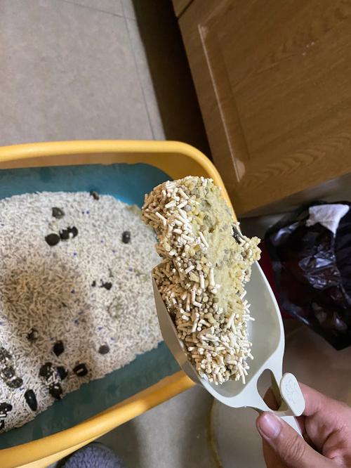 老年猫饮水碗边残留的水渍与尿团对比实拍
