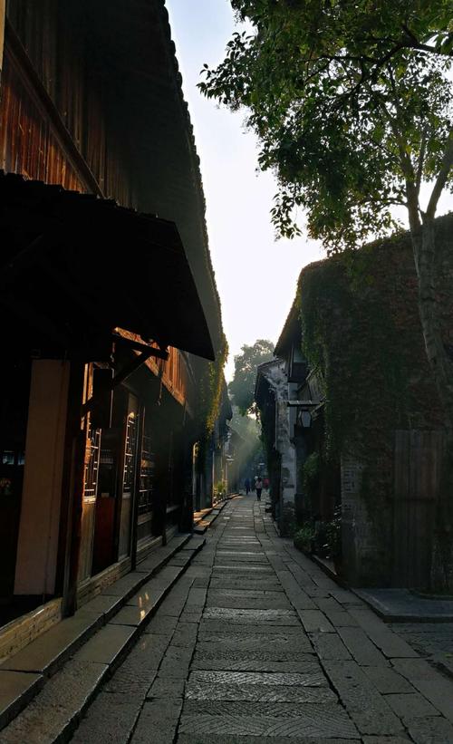 乌镇清晨雾气石板路无人打卡照