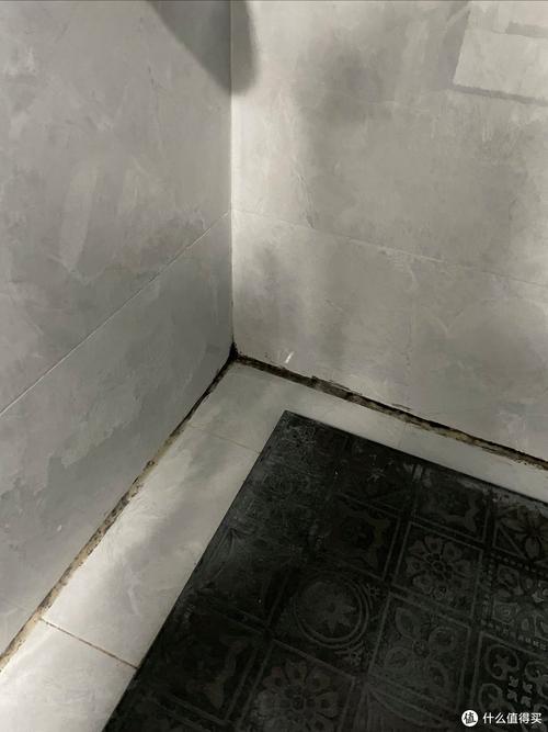 卫生间淋浴区质感漆发霉发黑实拍