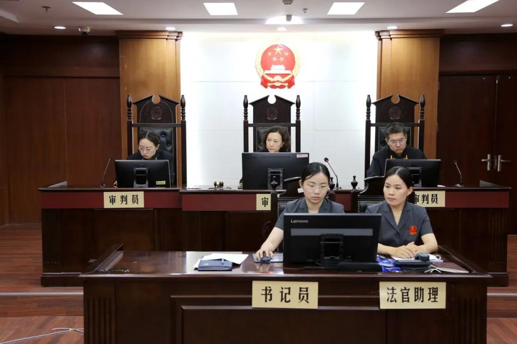 基层法院分家析产纠纷庭审现场照片
