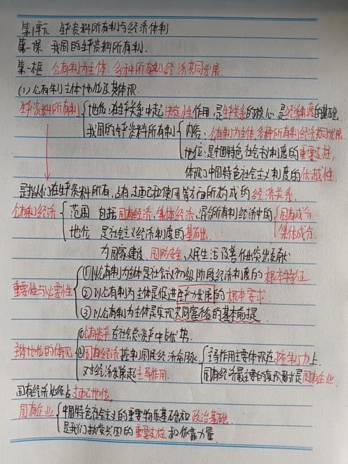 新课标高中大单元学业改进笔记示例