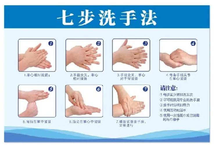 正确洗手步骤示意图 日常除菌 20秒搓揉部位